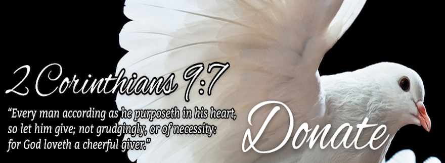 donation-banner-small-02
